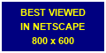 Best viewed in Netscape 800x600