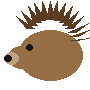 my pet hedgehog
