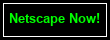 Netscape Now